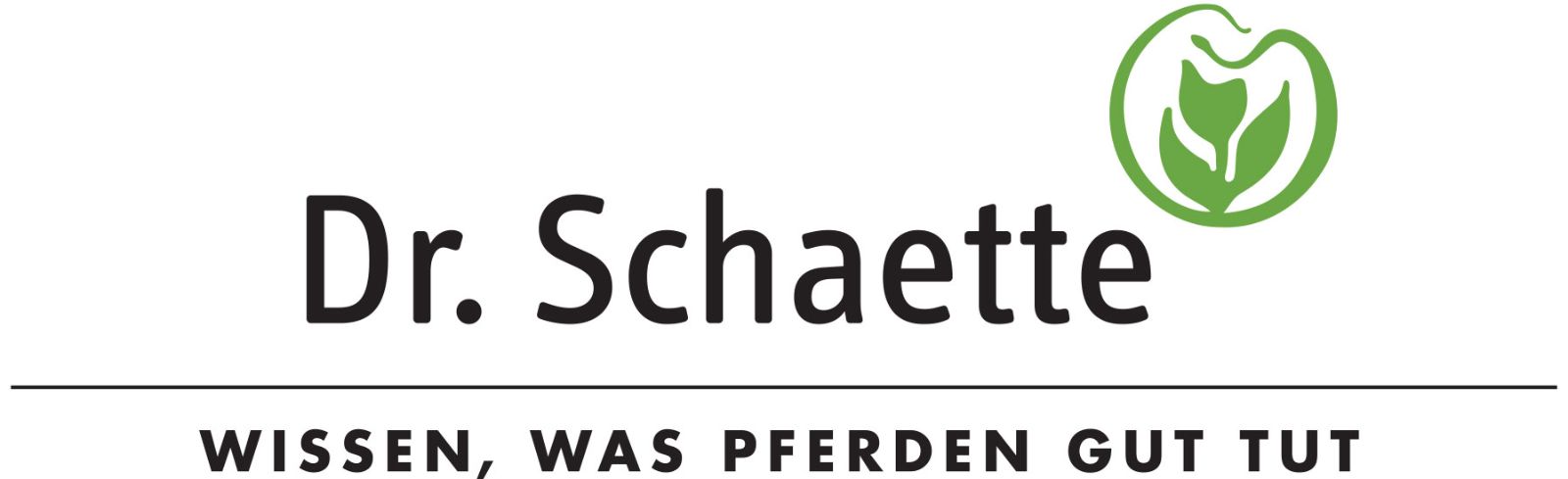 2025_logo_Dr Schaette