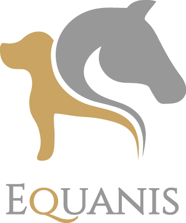 2025_logo_Equanis