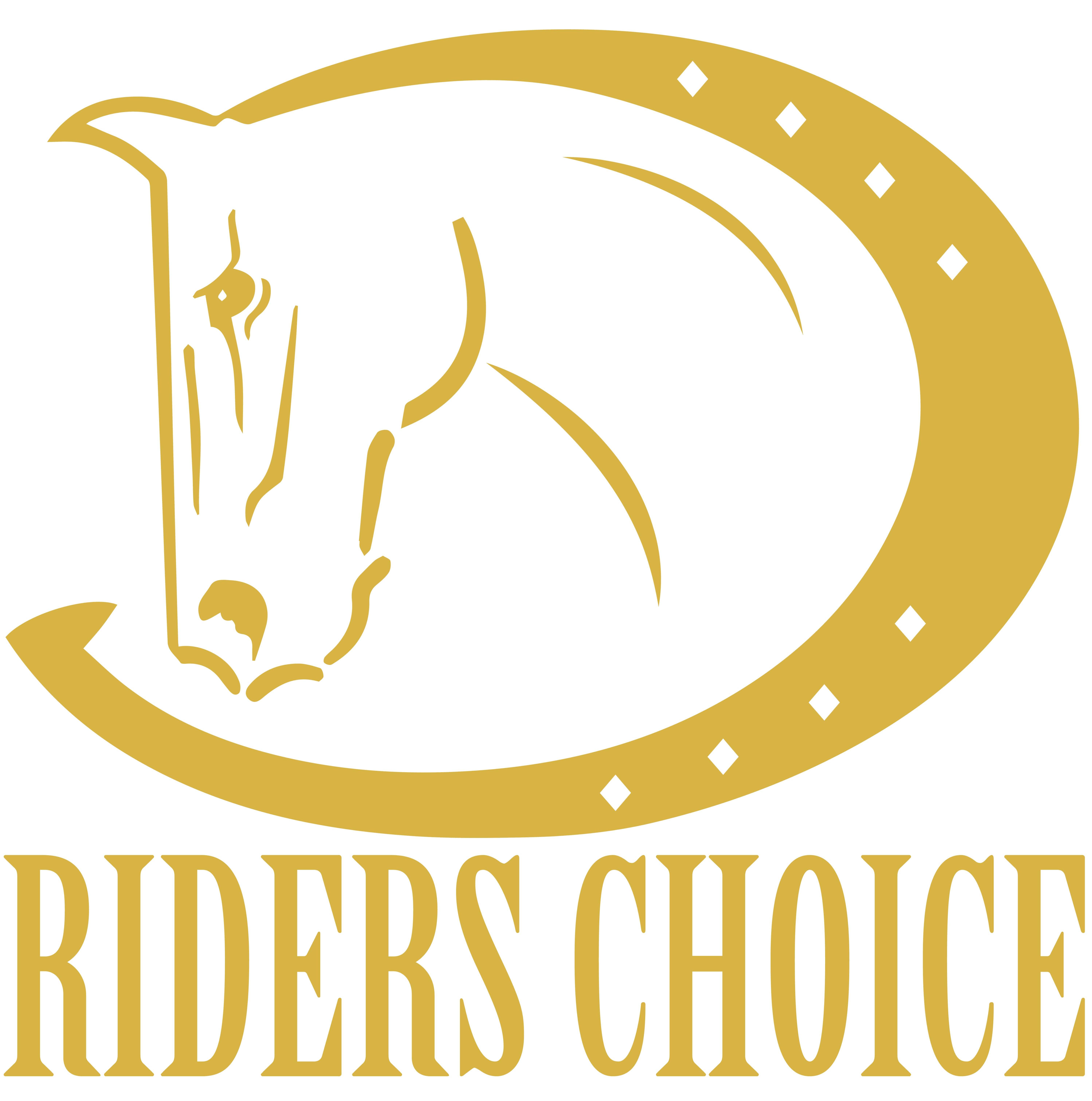 2025_logo_riders choice