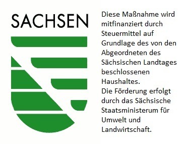 2025_logo_Logo SMUL Signet_gruen_mit Text rechts